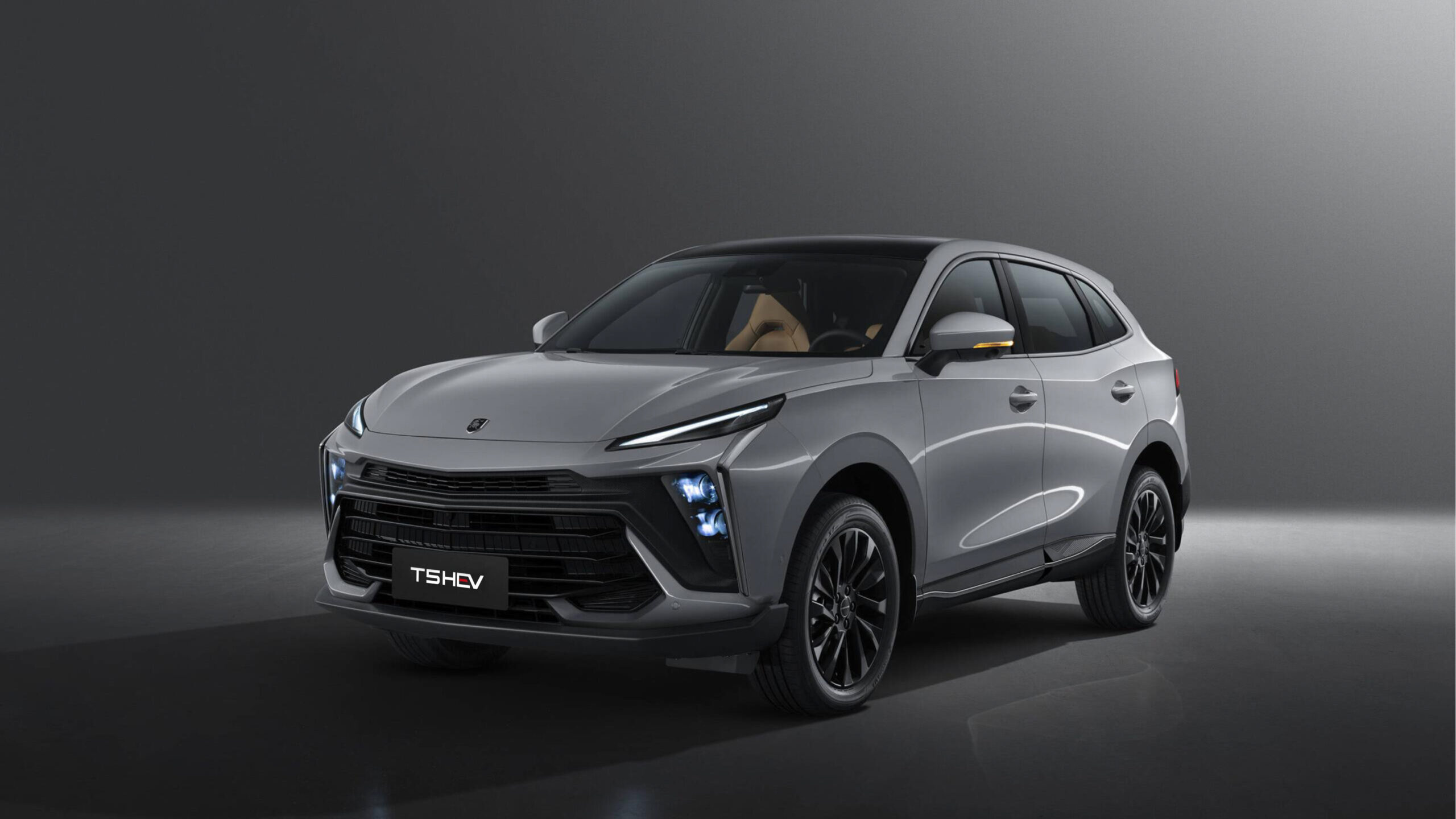 T5 HEV Side